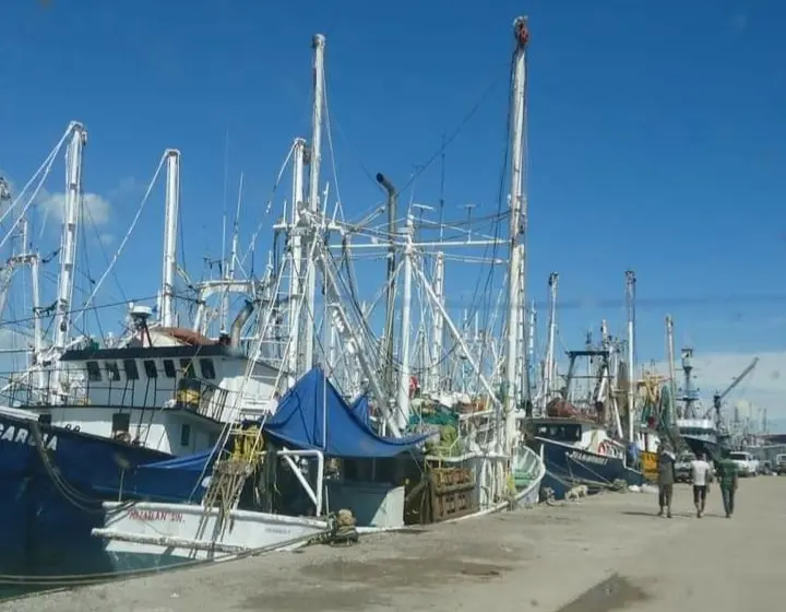 Frente Pesquero del Sur de Sonora exige control de barcos sardineros