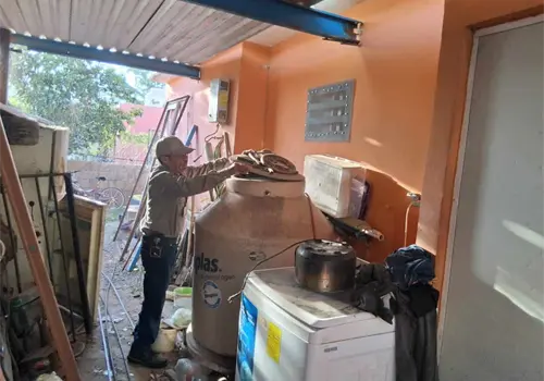 Contin&uacute;an labores de prevenci&oacute;n de rickettsia en Sonora