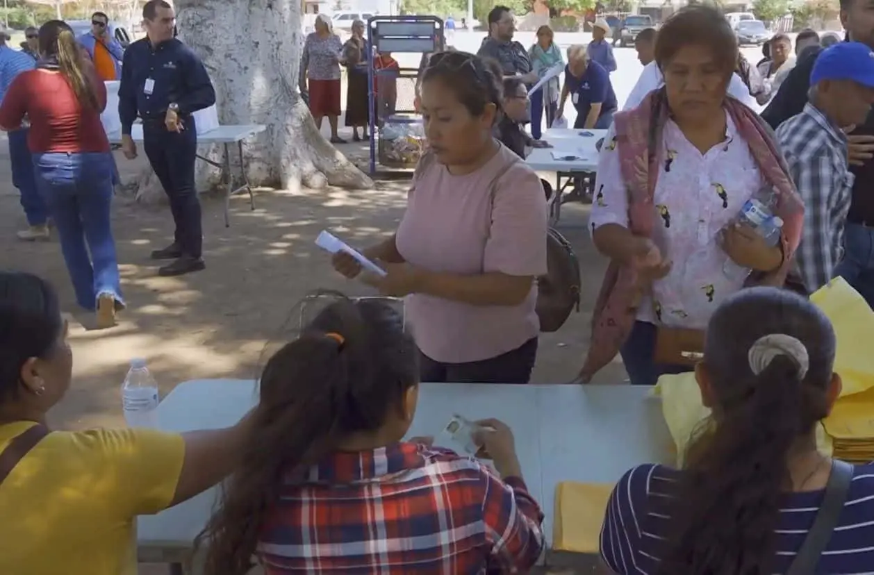 Defender&aacute; Etnia Mayo sus derechos pol&iacute;ticos