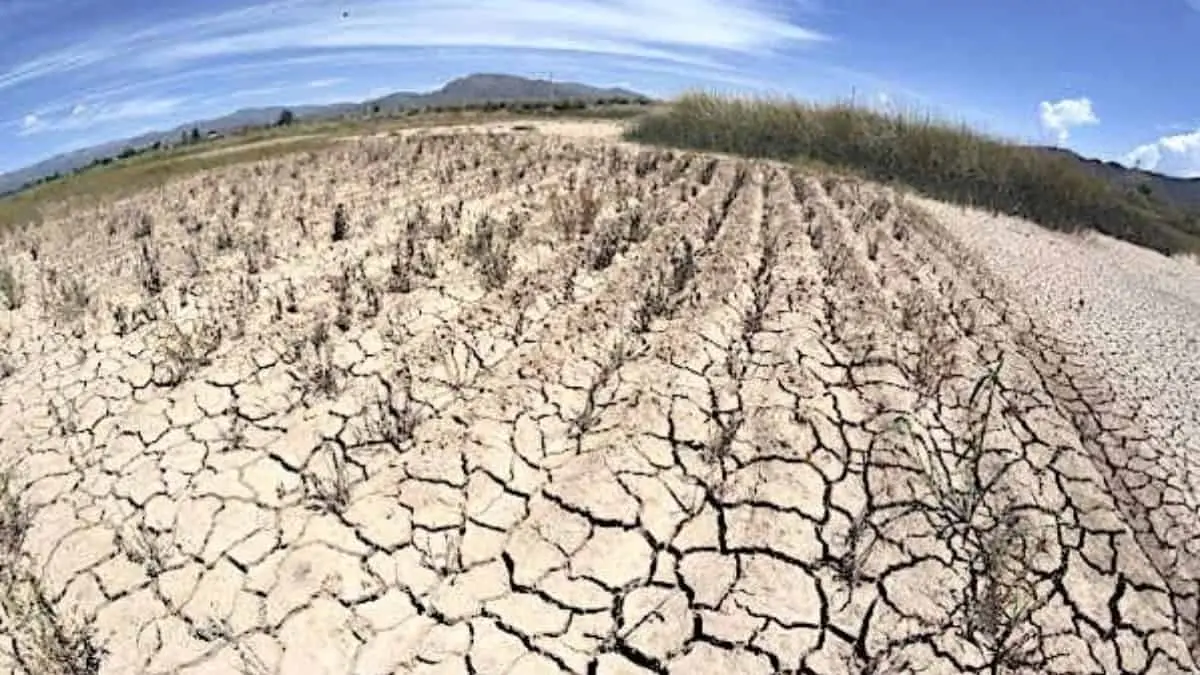 Sequ&iacute;a, se mantiene en 15 municipios