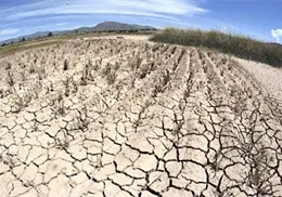 Sequ&iacute;a, se mantiene en 15 municipios