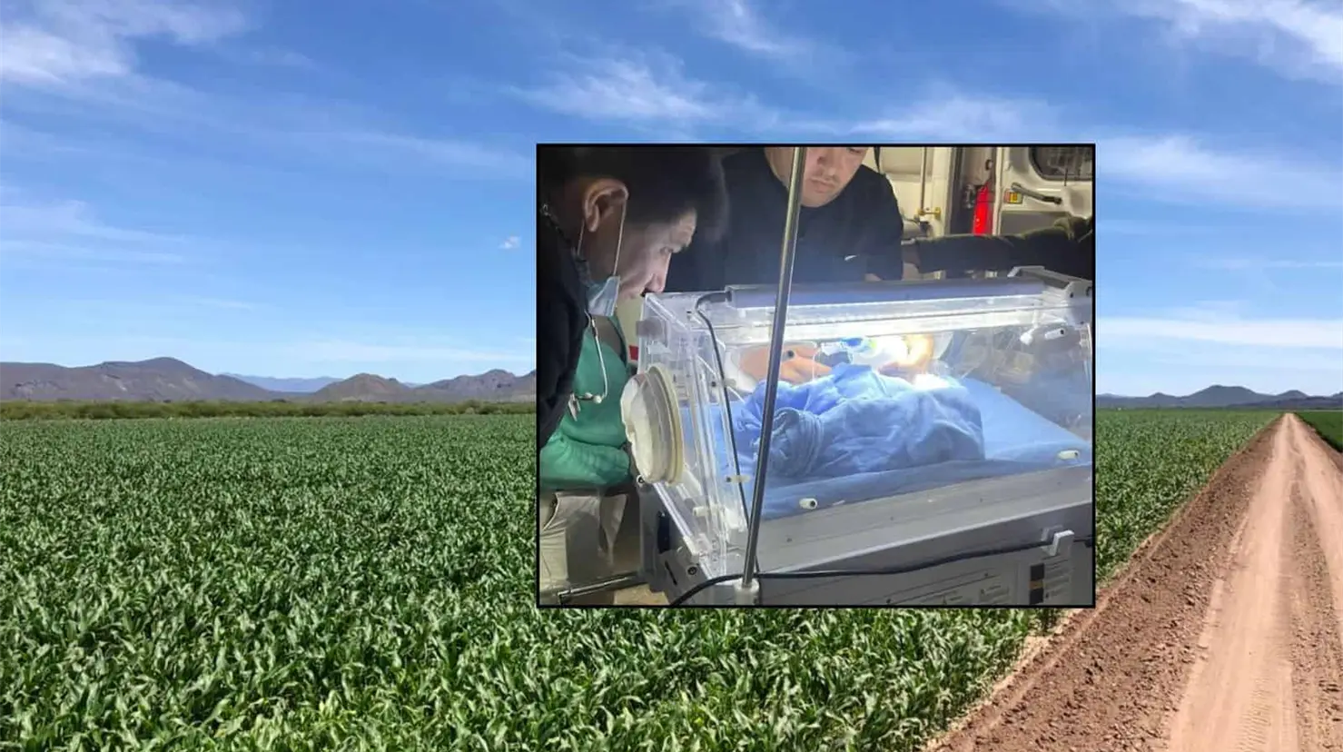 Abandonan a reci&eacute;n nacido en campo agr&iacute;cola de la Costa de Hermosillo; estaba en un contenedor de basura
