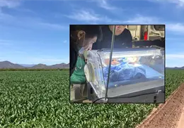 Abandonan a reci&eacute;n nacido en campo agr&iacute;cola de la Costa de Hermosillo; estaba en un contenedor de basura