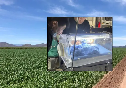 Abandonan a reci&eacute;n nacido en campo agr&iacute;cola de la Costa de Hermosillo; estaba en un contenedor de basura