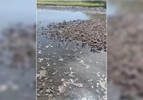 Piden actuar contra granjas acu&iacute;colas en sur de Sonora