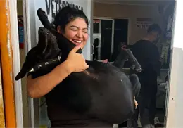 Contribuyen al control de la poblaci&oacute;n animal