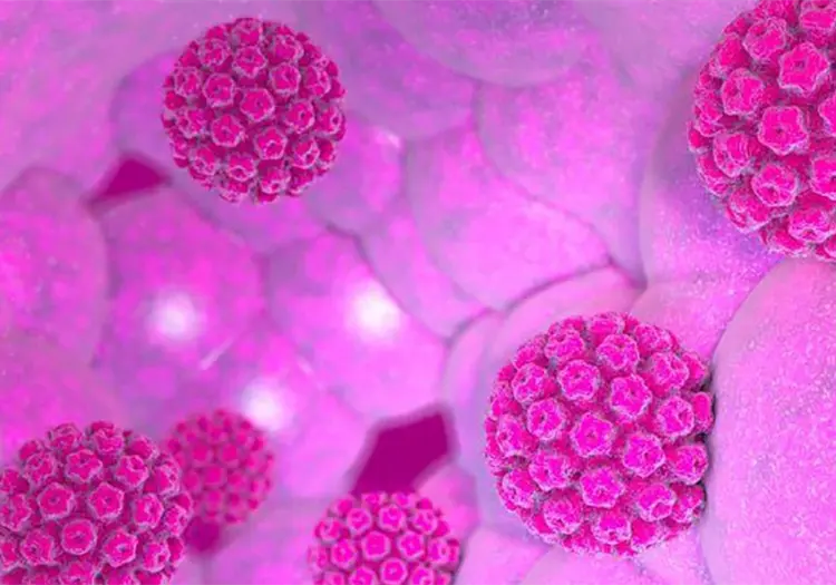 UNAM desarrolla prueba r&aacute;pida y port&aacute;til para detectar VPH en solo 30 minutos