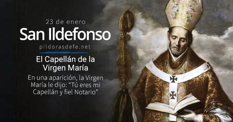 imagen-cuerpo imagen-cuerpo