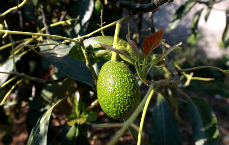 imagen-cuerpo imagen-cuerpo