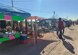 Afecta el mal clima a tiangueros