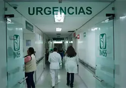 IMSS: Esta compra es la más grande que ha hecho la dependencia en una sola exhibición IMSS: Esta compra es la más grande que ha hecho la dependencia en una sola exhibición