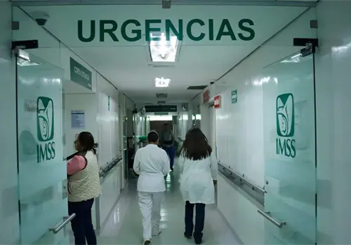 IMSS: Esta compra es la más grande que ha hecho la dependencia en una sola exhibición IMSS: Esta compra es la más grande que ha hecho la dependencia en una sola exhibición