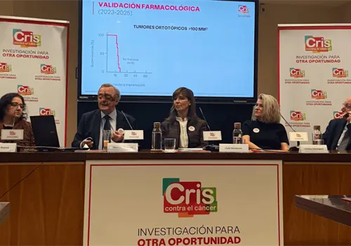 Científicos eliminan por primera vez el cáncer de páncreas en pruebas experimentales Científicos eliminan por primera vez el cáncer de páncreas en pruebas experimentales