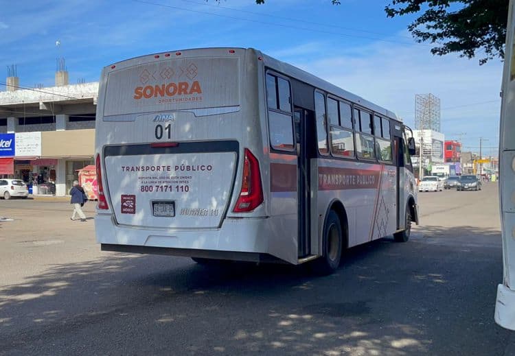 imagen-cuerpo imagen-cuerpo