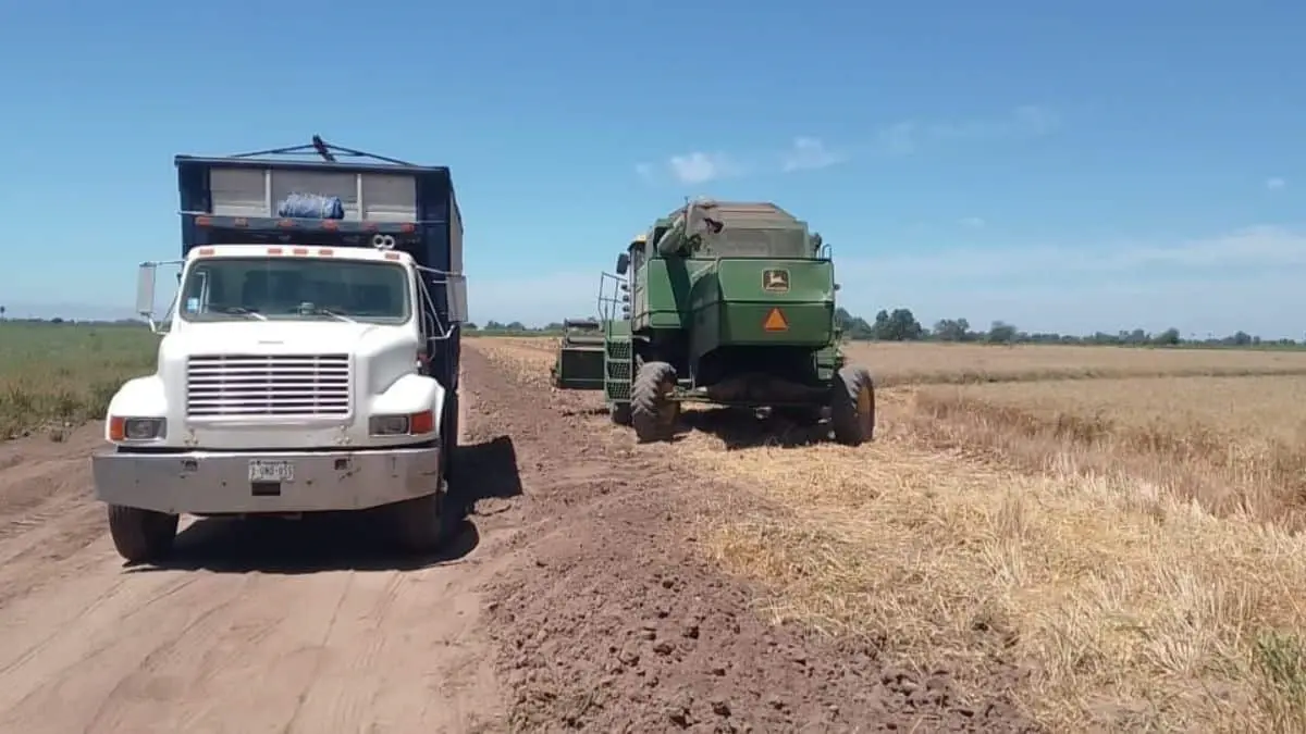 Priva incertidumbre en transportistas de carga