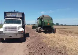 Priva incertidumbre en transportistas de carga