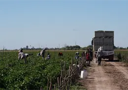 Crece econom&iacute;a en Sonora: actividades primarias repuntan