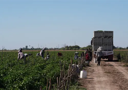 Sonora destaca entre los 10 estados con mayor crecimiento econ&oacute;mico