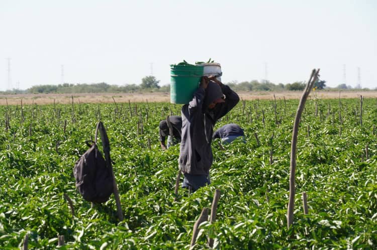 imagen-cuerpo imagen-cuerpo