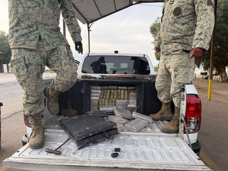 imagen-cuerpo imagen-cuerpo