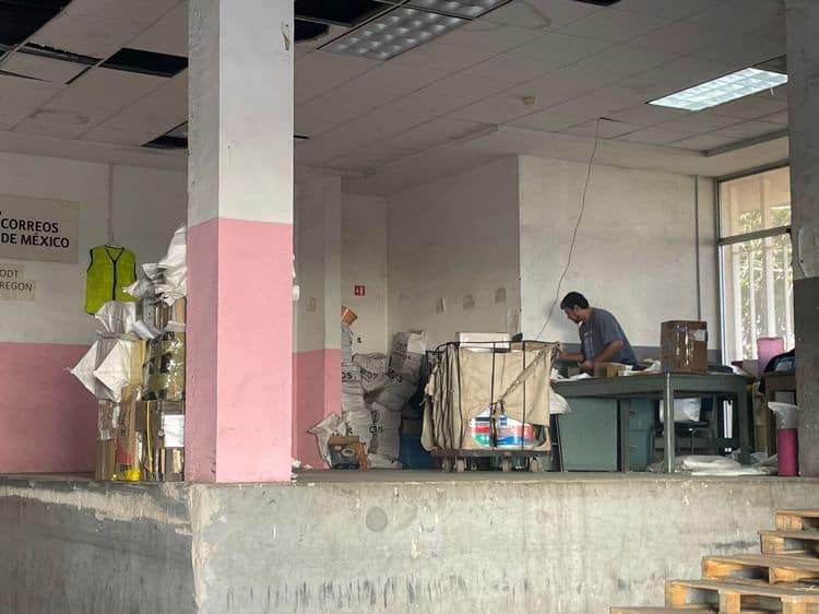 imagen-cuerpo imagen-cuerpo