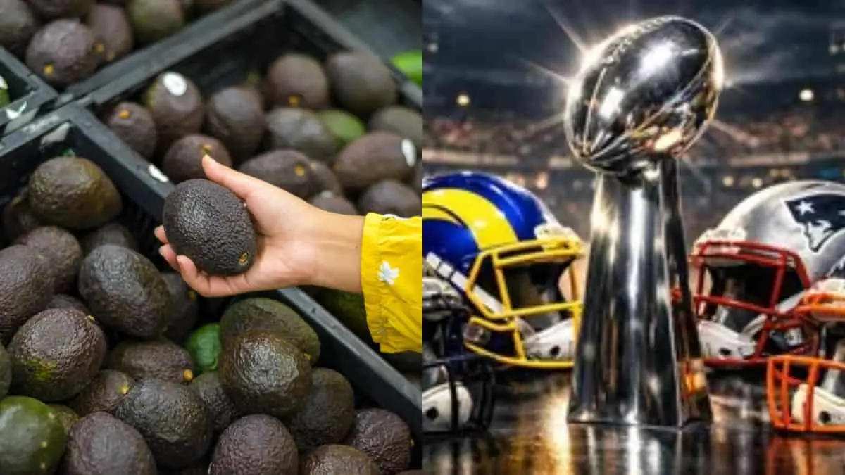Preparan más de 120 mil toneladas de aguacate para llevar a Estados Unidos por el Super Bowl