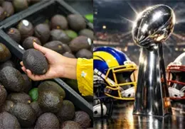 Preparan más de 120 mil toneladas de aguacate para llevar a Estados Unidos por el Super Bowl