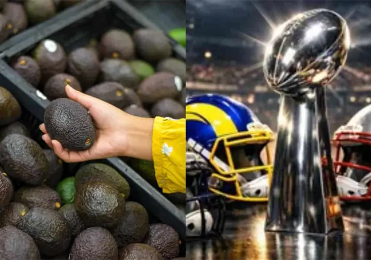 Preparan m&aacute;s de 120 mil toneladas de aguacate para llevar a Estados Unidos por el Super Bowl
