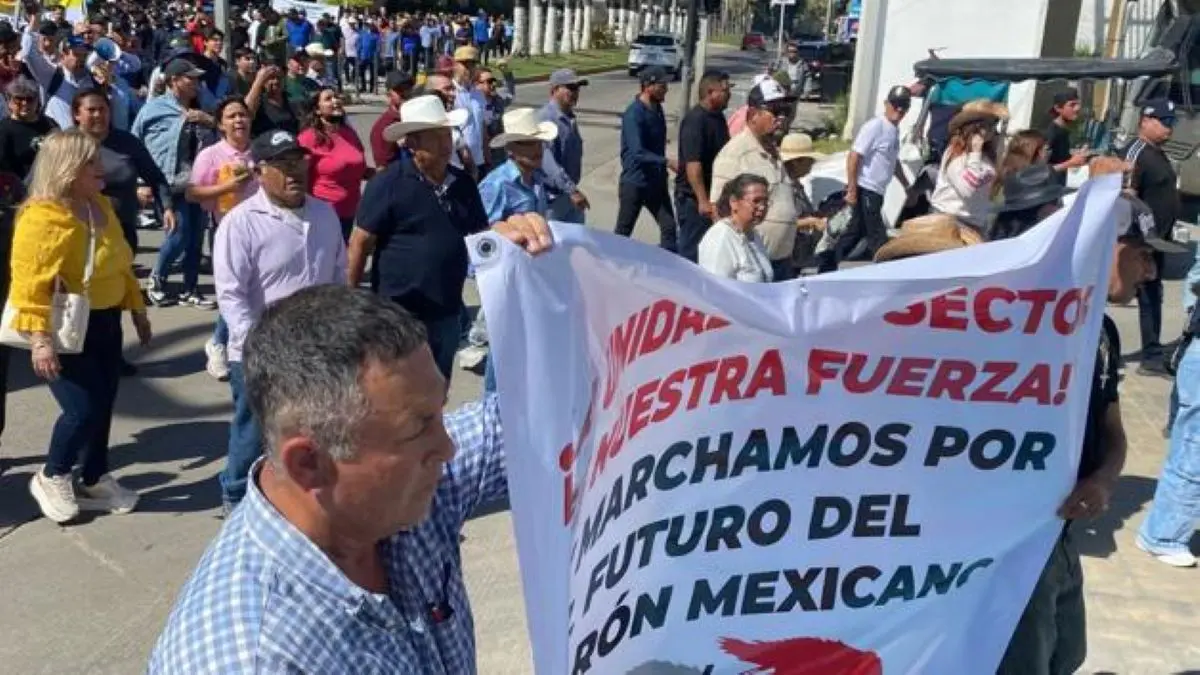 Productores se manifiestan en Mazatl&aacute;n contra la importaci&oacute;n ilegal de camar&oacute;n