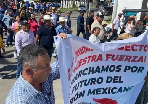 Productores se manifiestan en Mazatlán contra la importación ilegal de camarón Productores se manifiestan en Mazatlán contra la importación ilegal de camarón