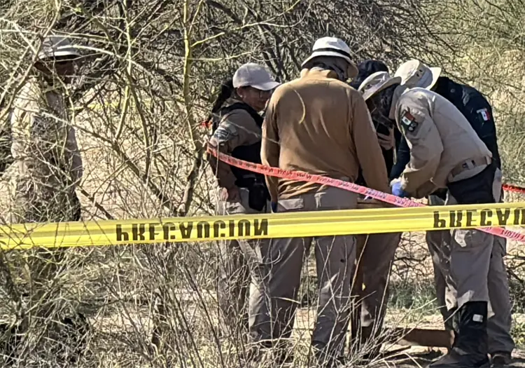 Hallan 24 cuerpos en 12 fosas clandestinas en Baja California, cerca de la frontera con Sonora