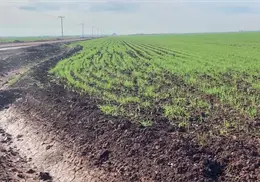 Registra el Valle del Mayo un acumulado de apenas 96 horas fr&iacute;o