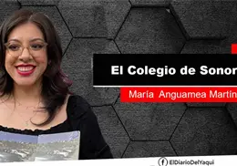 &iquest;Se atendi&oacute; realmente la problem&aacute;tica de los autos "chocolate"?