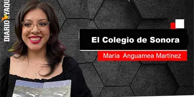 ¿Se atendió realmente la problemática de los autos "chocolate"? ¿Se atendió realmente la problemática de los autos "chocolate"?