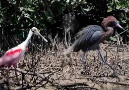 Se conmemora el d&iacute;a internacional de los mantos acu&iacute;feros