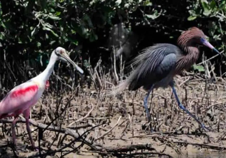 Se conmemora el d&iacute;a internacional de los mantos acu&iacute;feros