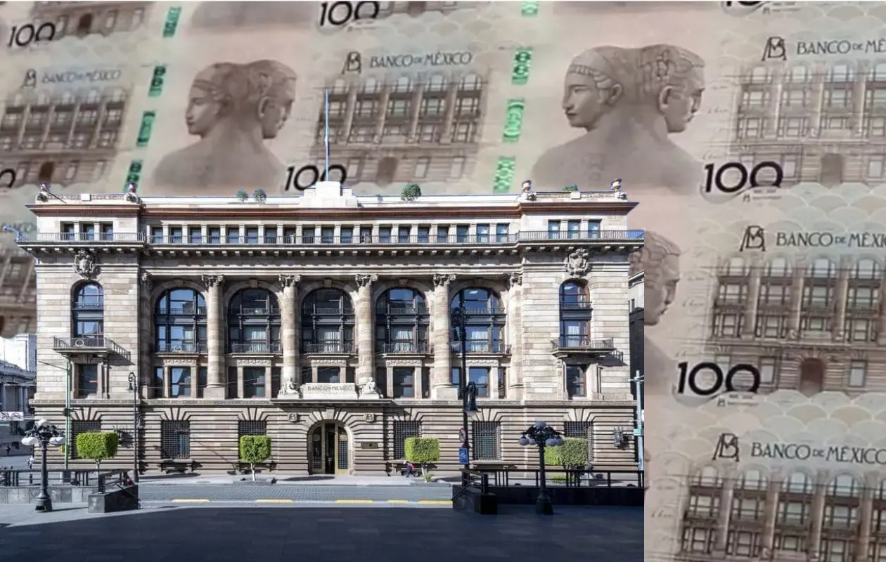 Conoce los elementos que lo integran y cómo adquirir este nuevo billete.