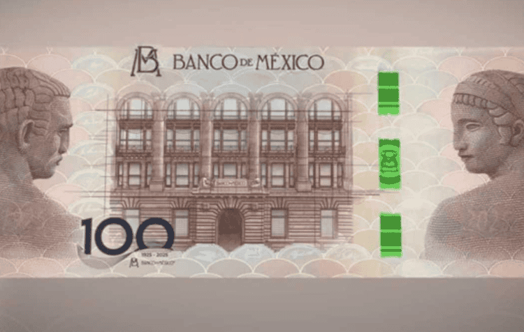 imagen-cuerpo imagen-cuerpo