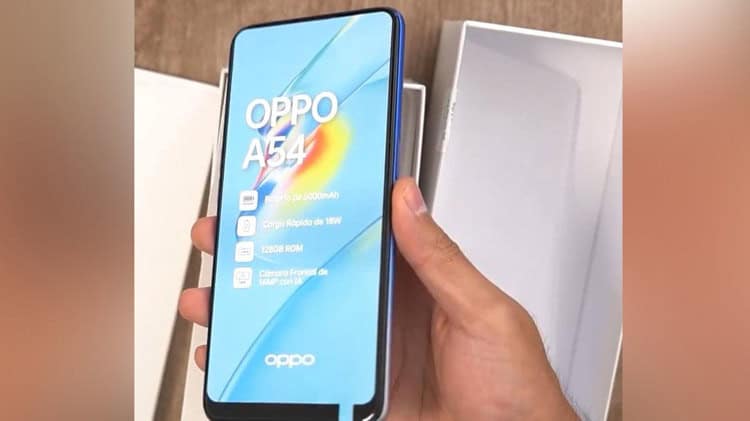 imagen-cuerpo imagen-cuerpo