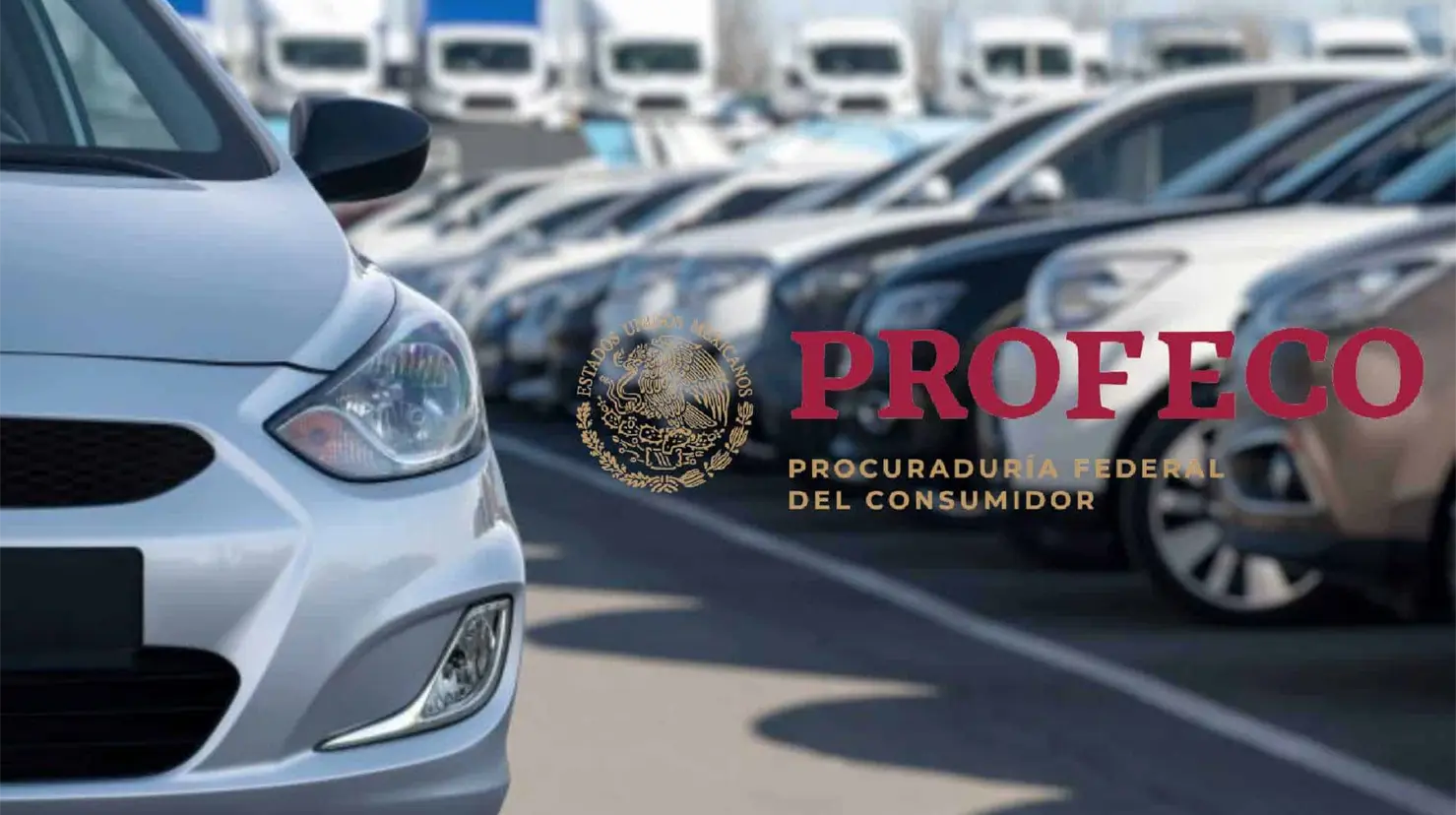Profeco emite alerta por fallas en veh&iacute;culos Ford, Honda y Volkswagen: revisa los modelos afectados