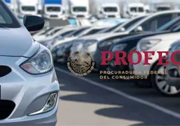 Profeco emite alerta por fallas en veh&iacute;culos Ford, Honda y Volkswagen: revisa los modelos afectados