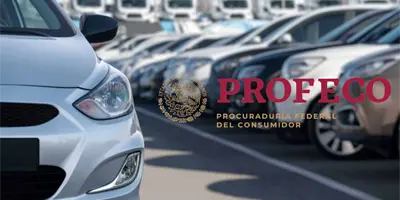 Profeco emite alerta por fallas en veh&iacute;culos Ford, Honda y Volkswagen: revisa los modelos afectados