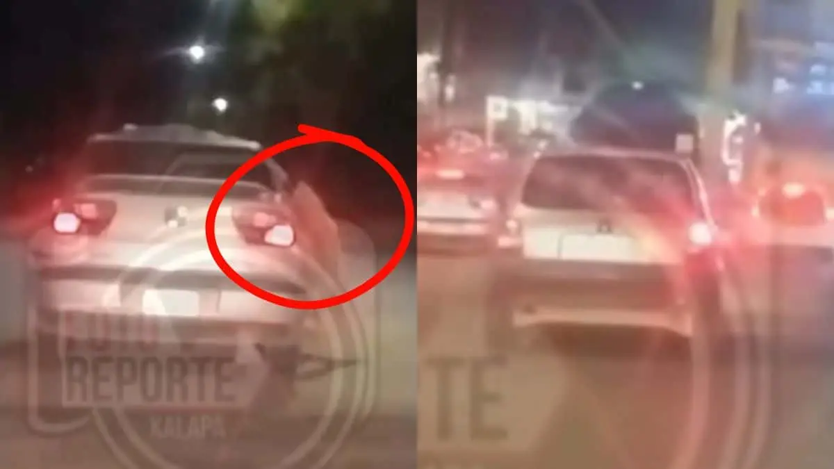 VIDEO | Atropella a un hombre y se lleva su cuerpo colgando en el cofre hasta que fallece