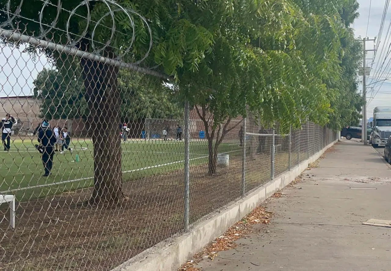 Los &aacute;rboles se encuentran sobre la calle Galeana casi esquina con la Quintana Roo