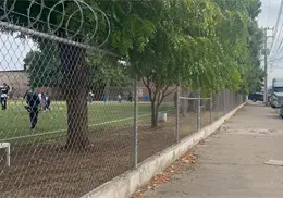 Buscan permiso para podar &aacute;rboles