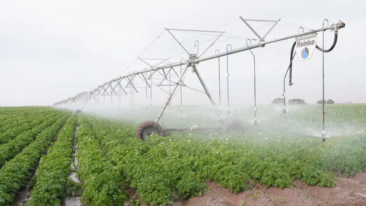 Proyectan nuevas obras
