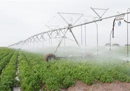 Proyectan nuevas obras