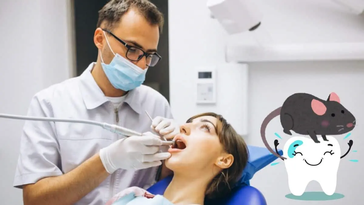 Los odont&oacute;logos desarrollan habilidades pr&aacute;cticas y te&oacute;ricas durante su formaci&oacute;n profesional, prepar&aacute;ndose para cuidar la salud bucal de la poblaci&oacute;n