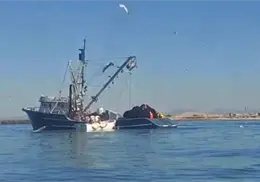 Buscan resolver ecocidio marino