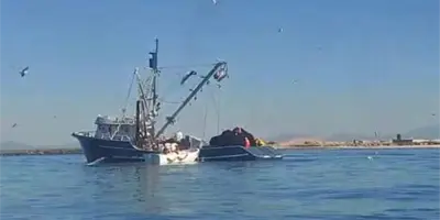 Buscan resolver ecocidio marino